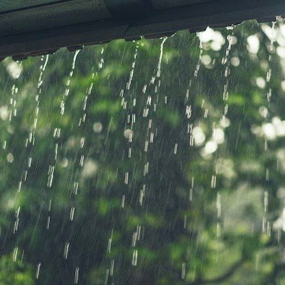 How To Select The Best Rain Barrel Pump?